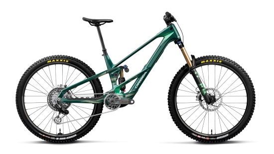 Elektrinis dviratis Orbea WILD LT M-LTD RS