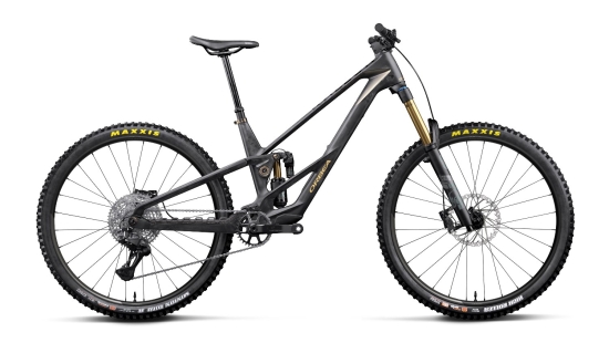 Elektrinis dviratis Orbea RALLON RS-LTD