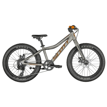 Vaikiškas Dviratis Scott Roxter 20 Silver