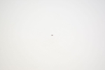Fox Spring: Detent (.138 TLG .087 OD 48 lb/in) (039-00-243)