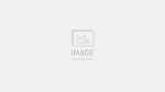 Mountain bike Specialized ROCKHOPPER BASE 29 2026