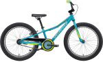 Vaikiškas dviratis Specialized Riprock Coaster 20