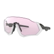 Oakley Flight Jacket Mtt Gry/Prizm LwLgh 