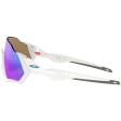 Oakley Flight Jacket M Whi/PSapp 