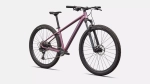 Kalnų dviratis Specialized ROCKHOPPER EXPERT 29 2026