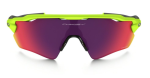 Oakley RADAR EV PATH Retina/Prizm RD 
