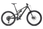 Kalnų dviratis Specialized Stumpjumper EVO LTD