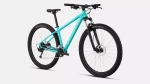 Mountain bike Specialized ROCKHOPPER BASE 29 2026