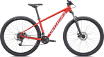 Mountain bike Specialized ROCKHOPPER 29