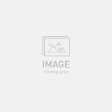 Elektrinis dviratis Specialized LEVO R COMP 2026