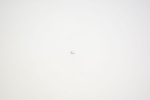 Fox Retaining Ring: Internal Round Wire (.031 Wire OD .285 free ID) (038-00-138)