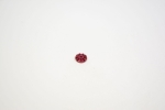 FOX 2015 Damping Adjust Part: Knop RD Adj 2014 Float X 10 slots Type III Red (210-03-171)