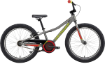 Vaikiškas dviratis Specialized Riprock Coaster 20