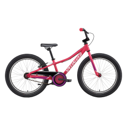 Vaikiškas dviratis Specialized Riprock Coaster 20