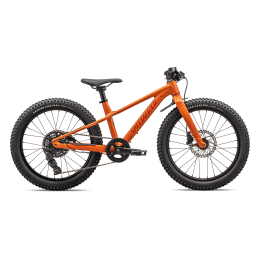 Vaikiškas dviratis Specialized RIPROCK 20 INT