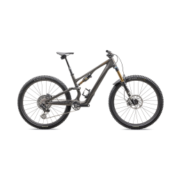 Kalnų dviratis S-Works STUMPJUMPER 15 