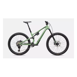 Kalnų dviratis Specialized Stumpjumper 15 EXPERT DI2 2026