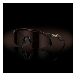 Oakley Hydra Rootbeer / Prizm Tungsten - OO9229-0237 