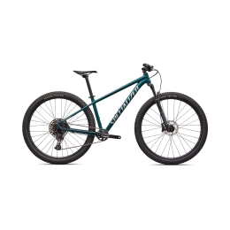 Kalnų dviratis Specialized ROCKHOPPER EXPERT 29 2026