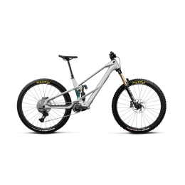 Elektrinis dviratis Orbea WILD LT M10
