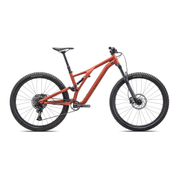 Kalnų dviratis Specialized SJ ALLOY