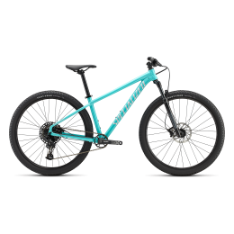Kalnų dviratis Specialized ROCKHOPPER EXPERT 29