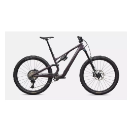Kalnų dviratis Specialized Stumpjumper 15 EXPERT DI2 2026