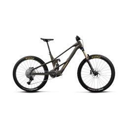 Elektrinis dviratis Orbea WILD LT M10 MULLET