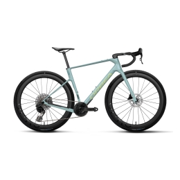 Gravel dviratis Orbea TERRA RACE M22 LTD 1X