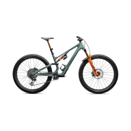 Kalnų dviratis S-Works STUMPJUMPER 15 LTD