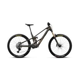 Elektrinis dviratis Orbea WILD LT M10