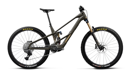 Elektrinis dviratis Orbea WILD LT M10