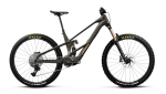 Elektrinis dviratis Orbea WILD LT M10