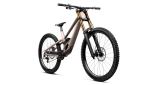 Kalnų dviratis Orbea RALLON D-LTD